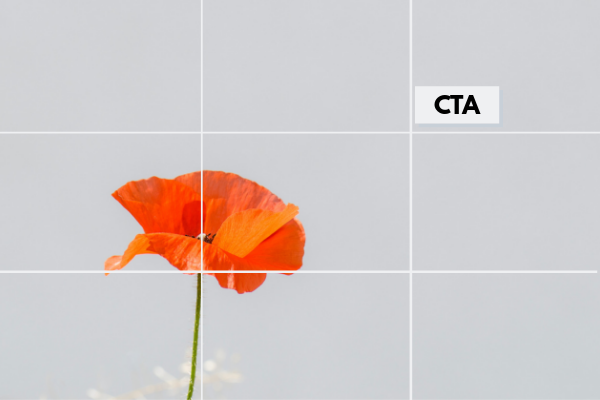 homepage image with optimized rule of thirds call-to-action